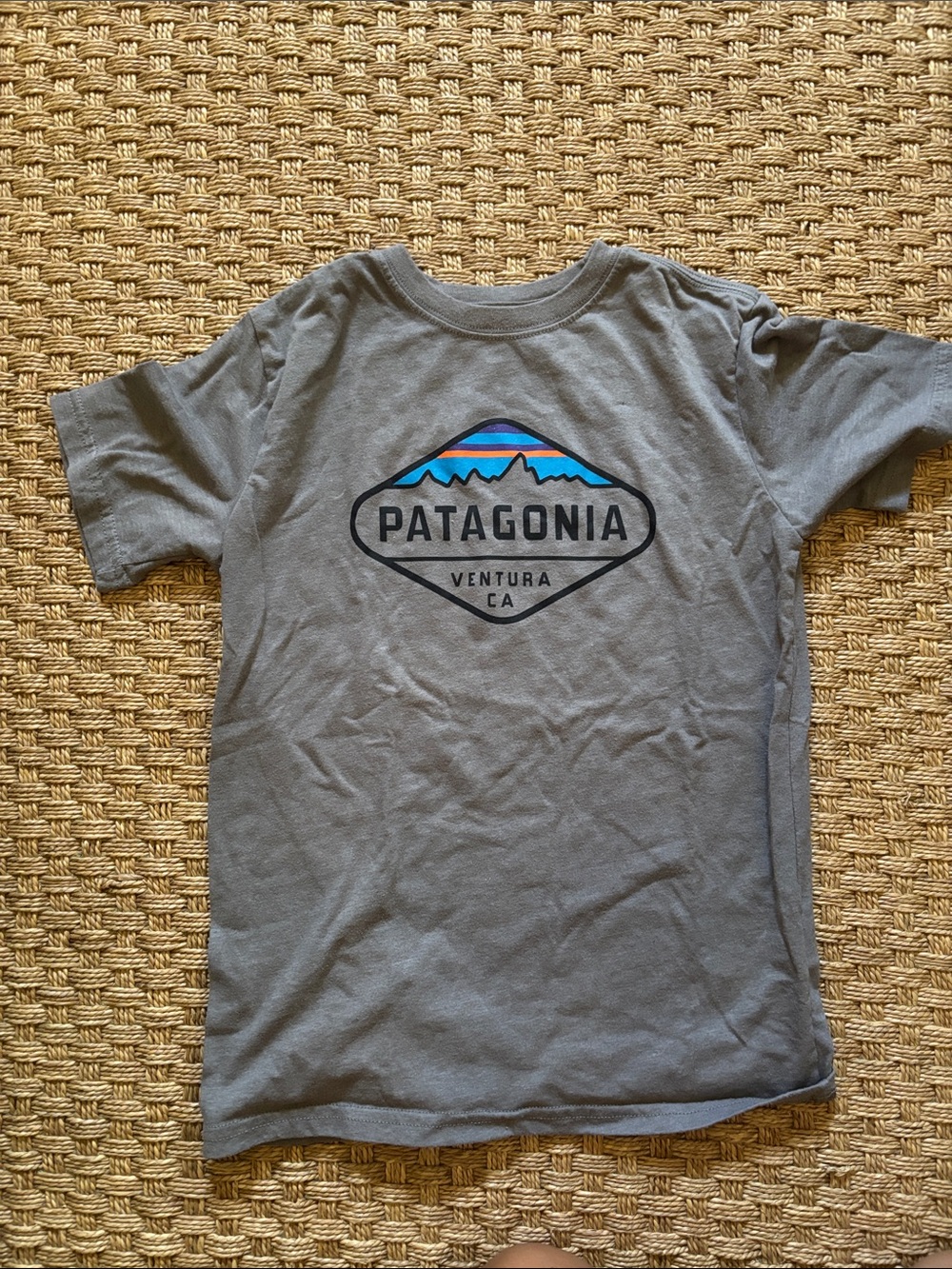 Patagonia Kids Gray Tee with Blue and Teal Mountain Graphic